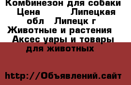 Комбинезон для собаки › Цена ­ 200 - Липецкая обл., Липецк г. Животные и растения » Аксесcуары и товары для животных   